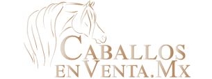 Caballos Arabes